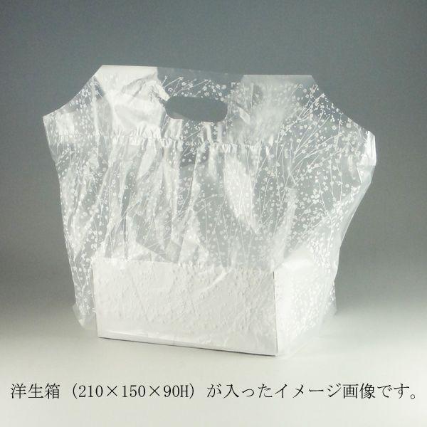 g/h tbgobO S ݑ 1000