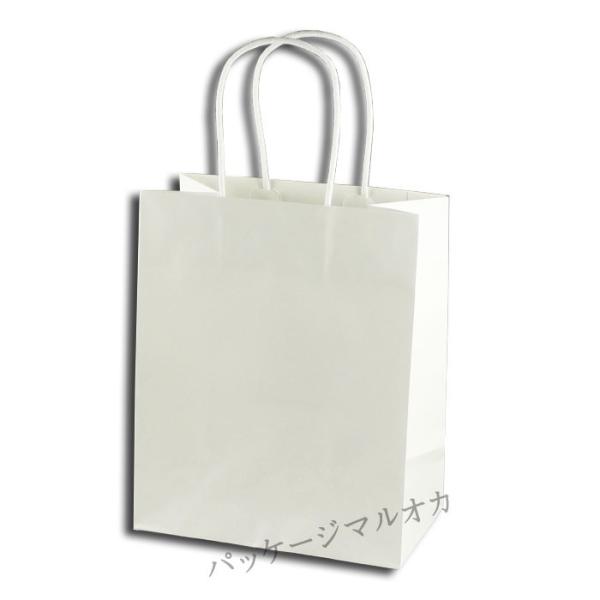 񂰎 PBX[XobO S-1  18cm (180 }`70 250 AN[vc) 10