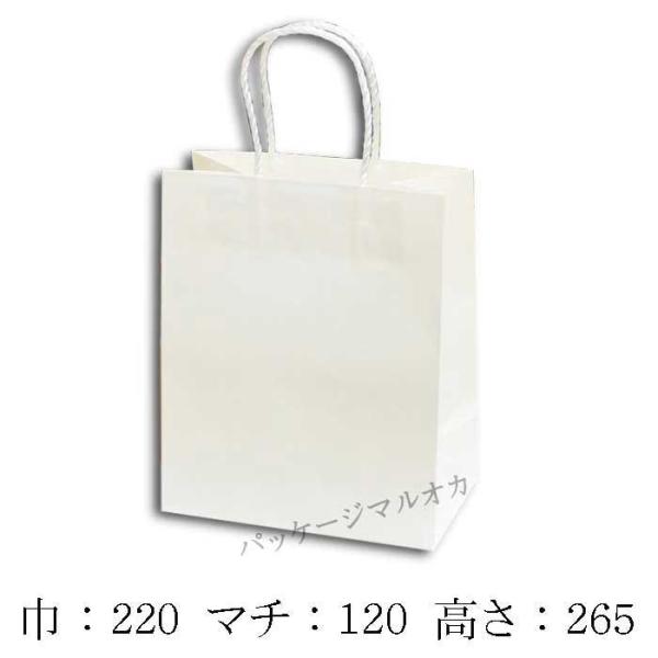 񂰎 X[XobO 22-12 Љn 100g PP[vR (220 }`120 265) 25