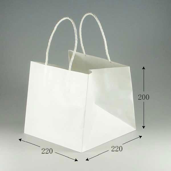 g/h 񂰎 PX[XobO 22-22 Љn 100g 220mm (220 }`220 200 Љ100g/m2) 350