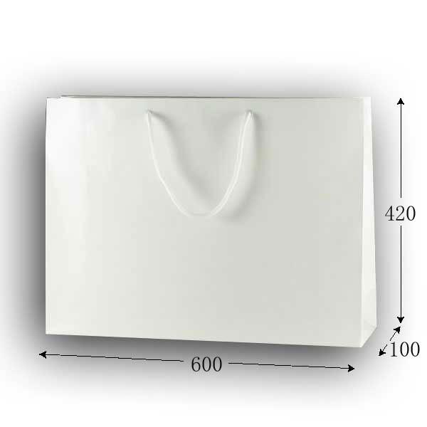 񂰑 uCgobO LLn 60cm (600 }`100 420 R[g160g/m2) 1