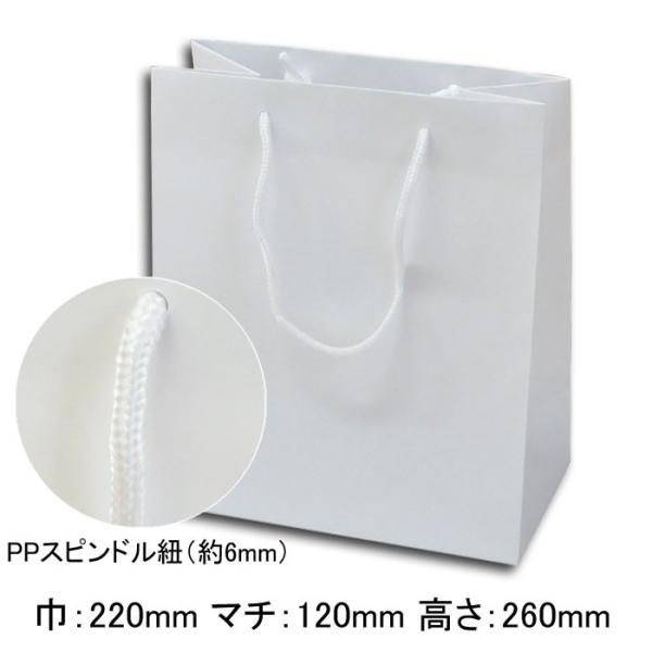 gnŖ/h 񂰎 S-22 }bgzCg  22 cm i\ʂj (220 }`120 260 PPXshRij) 50/^Cv001