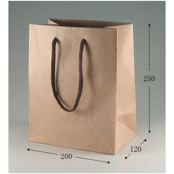 񂰎 J[`[obO 20-12 Ntg {[t (200 }`120 250 ANR) 10