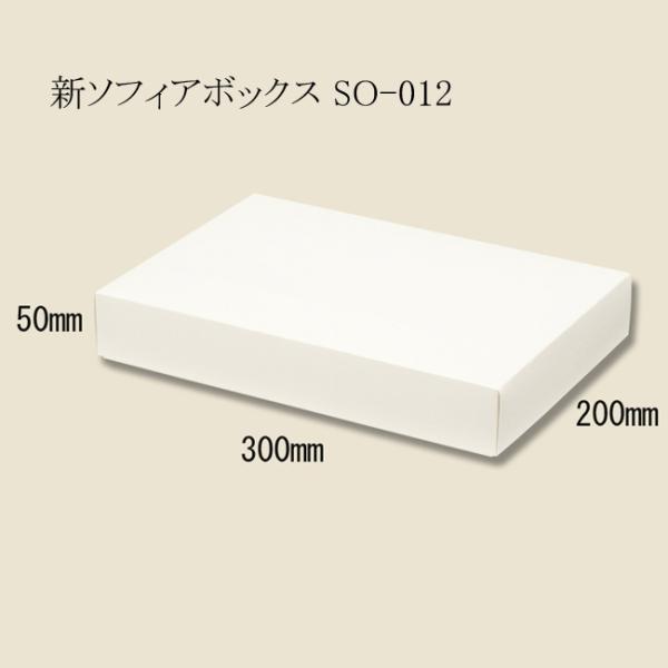 新ソフィアボックス SO-012 (旧SO-12) (縦200 横300 高さ50 紙厚350g