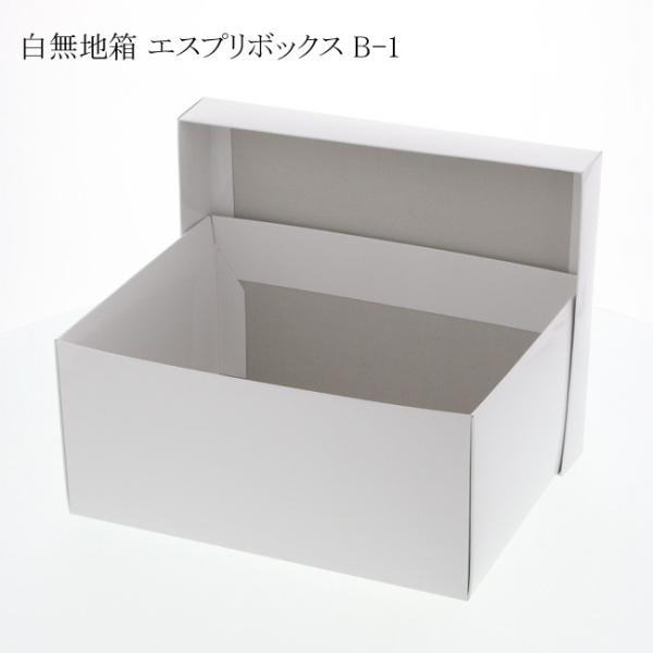 �g��������/�����h �G�X�v���{�b�N�X B-1 200×260×120 ���� (��200 �c260 ����120) 120��