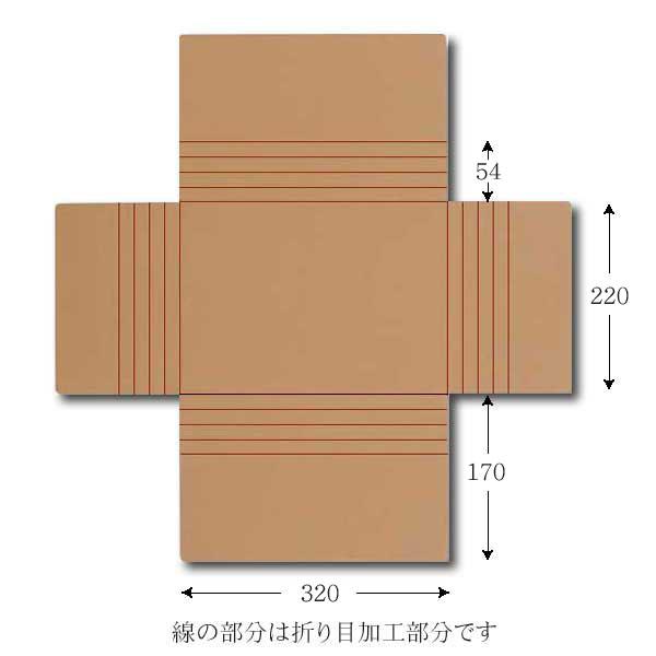 g/h ^gE_{[ A4p (c320 220 54 ގ5i2) 500