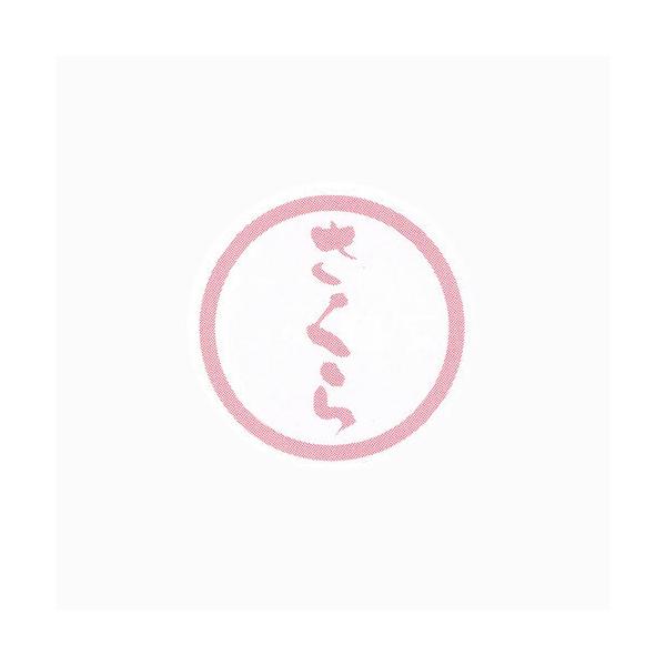 g䂤pPbgΏہh َqpv`x SO-107  20