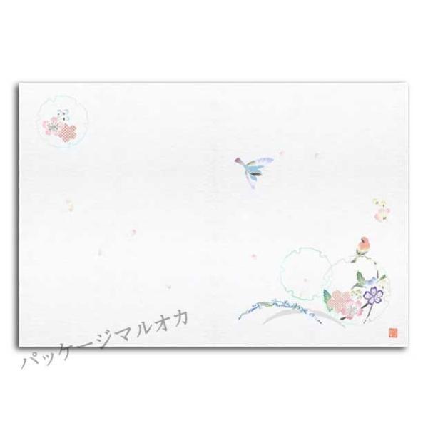 �ڎO�܂��� �l�G�̕� SA-E03 �t�� 100��