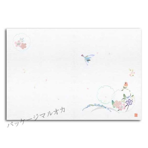 �ڎO�܂��� �l�G�̕� SA-E03 �t�� 500��