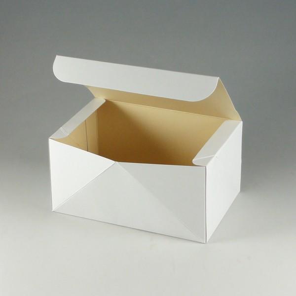 Hi P[L mB (c118 180 90) 100