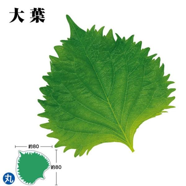 ●商品コード：062408-0711●JAN：●入数：100枚●単価：3.94円/1枚(税込)●サイズ… 縦：80mm 巾：80mm●商品説明：生葉と違い雑菌が少なく衛生的で安心。
