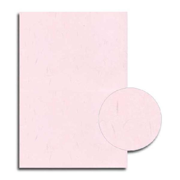 Rs[a A4sN (J~-4AP) 100 1