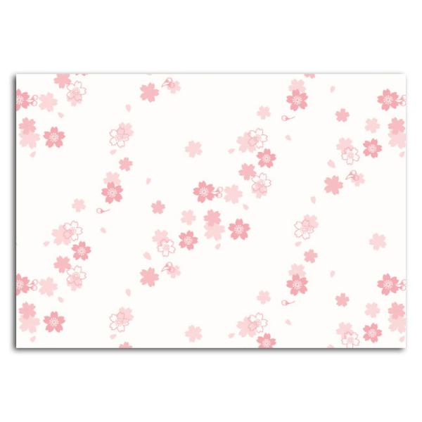 ȏp  CT-Y204 A4(2`4) 500