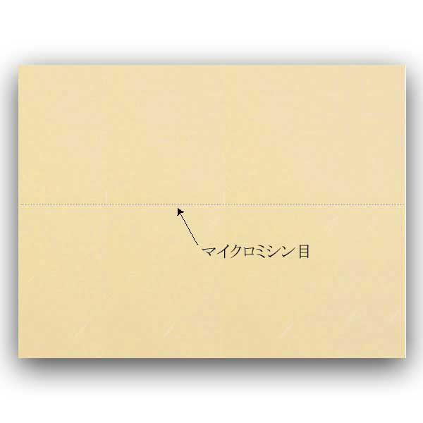 ip }CN~Vړ Rs[a B4 N[ CT-15M 1000