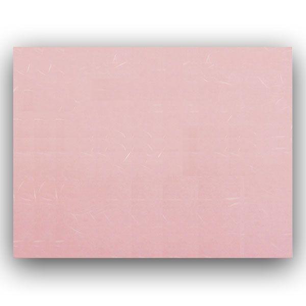 Rs[a B5 sN CT-12 _a 1000