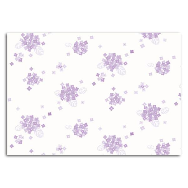 ȏp  CT-Y206 A4(6`7) 500