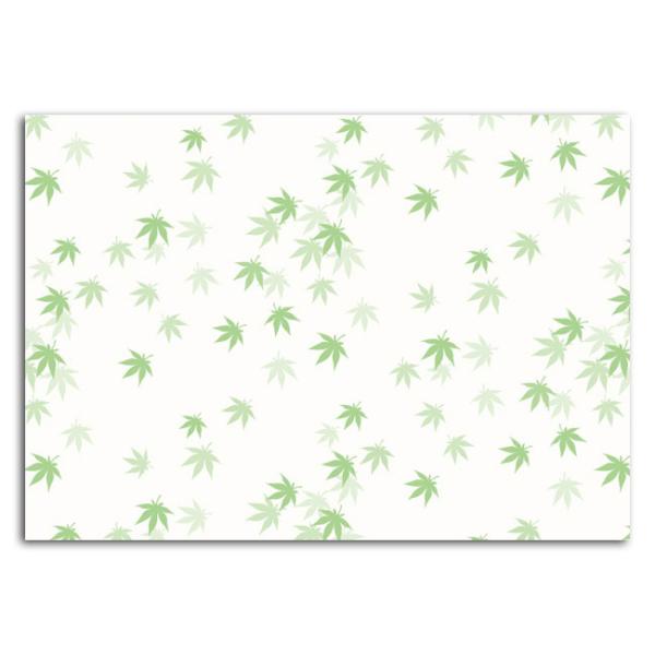 ȏp ΂݂ CT-Y207 A4 500