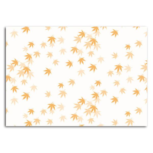 ȏp Ԃ݂ CT-Y310 B4 1000