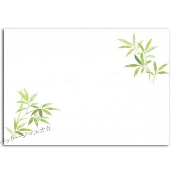 lG Ԃ CT-H01  I[V[Y 500