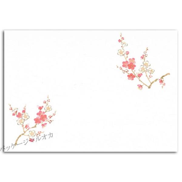 lG Ԃ CT-H02 ~ 1`2 500