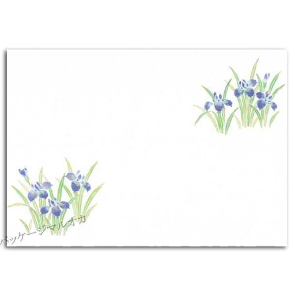 lG Ԃ CT-H06  5`6 500