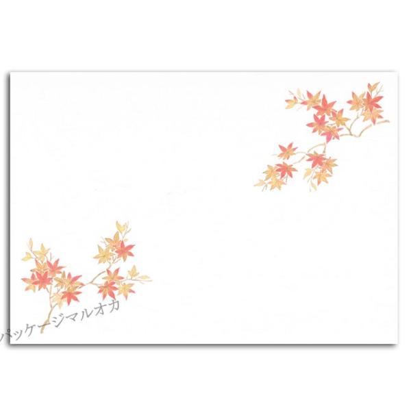 lG Ԃ CT-H11 Ԃ݂ 9`11 500