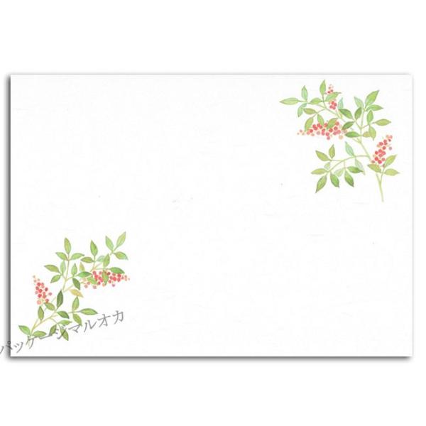 lG Ԃ CT-H13 V 12`1 500