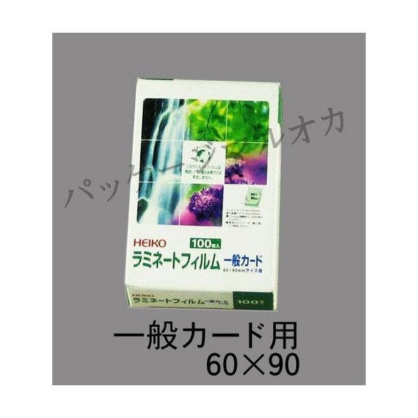 ~l[gtC ʃJ[h60×90 (100~N c60 90) 2000