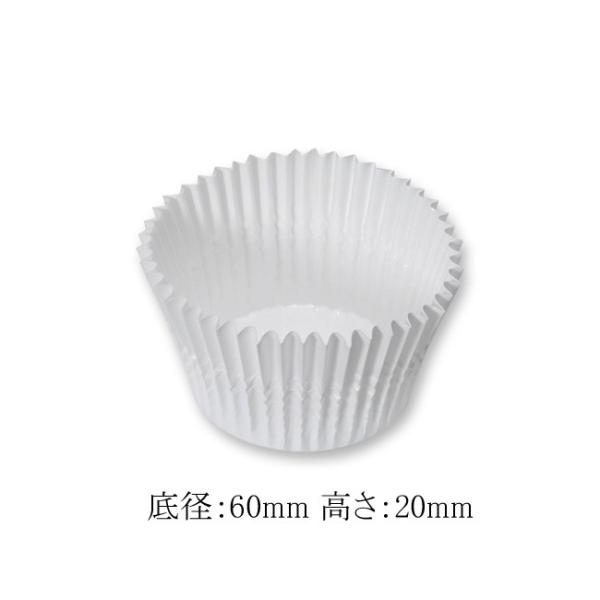 ybgJbv  1220F 60×20 (a60 20) 300