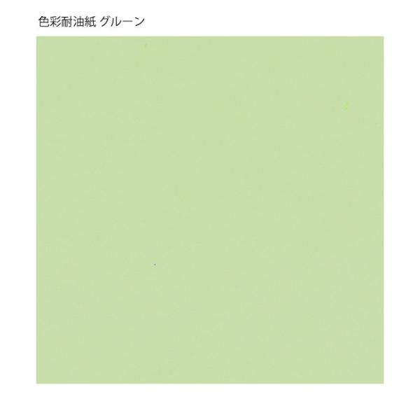 g䂤pPbgΏہh Fʑϖ 9cmp O[ i100j TA-C09GN 100