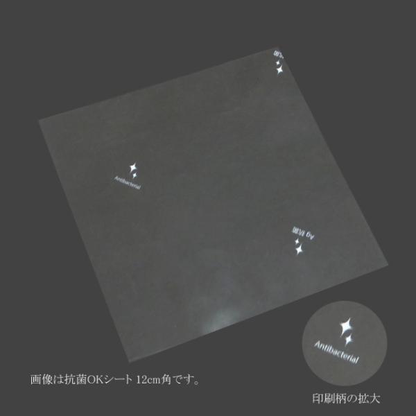 �g�䂤�p�P�b�g�Ώہh �R��OK�V�[�g 12cm�p �\�E���R�ۃt�C���� OPK-A12 200��