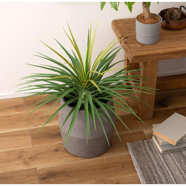 植木鉢 グリーンベース プランター 植物 植え込み インテリア リビング アクセント オブジェ デザイン