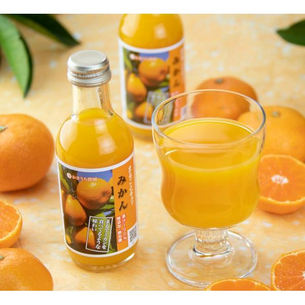 p-orange_kmj6
