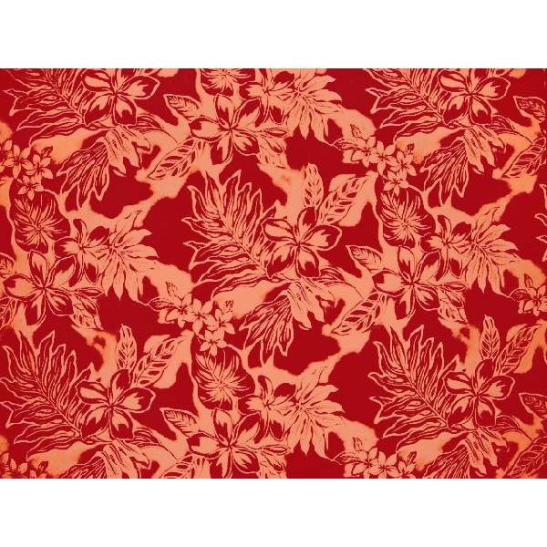 nCAt@ubN / nEz A0293 inCAvgEt_XObYj