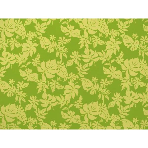 nCAt@ubN / nEz A0385 inCAvgEt_XObYj