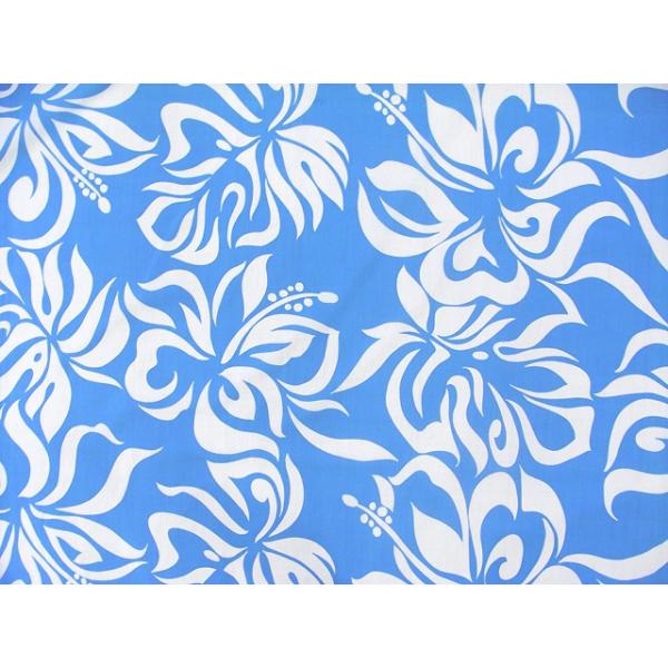 nCAt@ubN / nEz A0437 inCAvgEt_XObYj