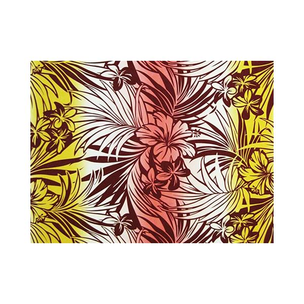 nCAt@ubN / nCAn A0484inCAvgEt_XObYj