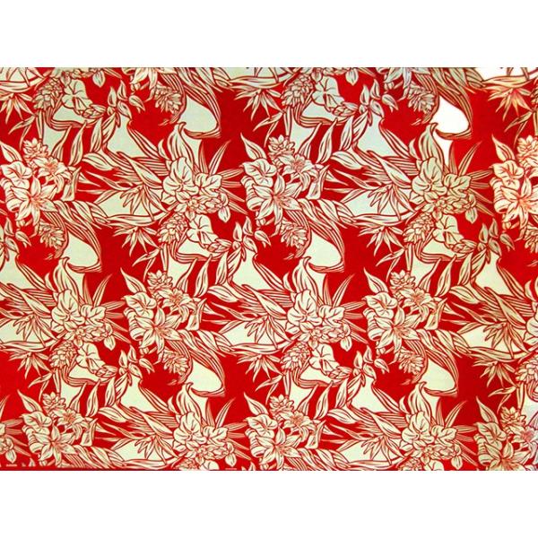 nCAt@ubN / nCAn A0488inCAvgEt_XObYj