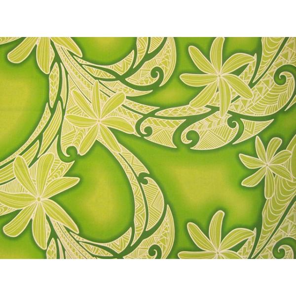 nCAt@ubN / nCAn A0507inCAvgEt_XObYj