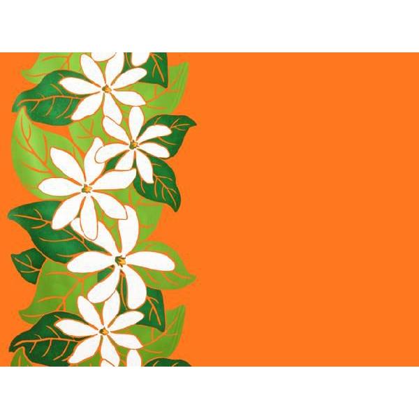 nCAt@ubN / nCAn B0373inCAvgEt_XObYj