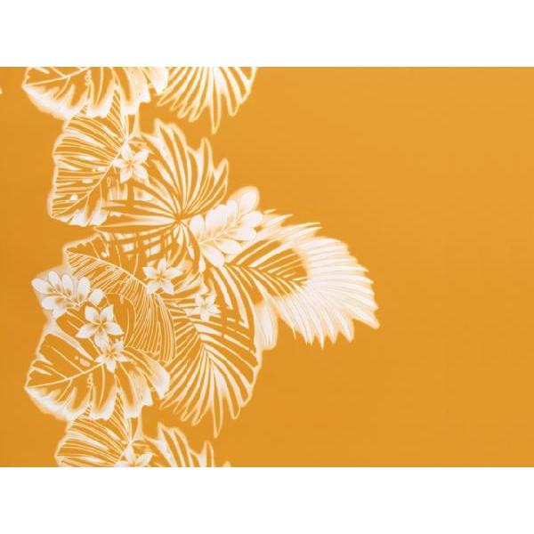 nCAt@ubN / nCAn B0419inCAvgEt_XObYj