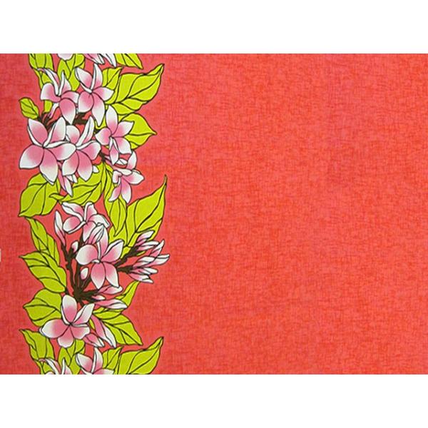 nCAt@ubN / nCAn B0495inCAvgEt_XObYj