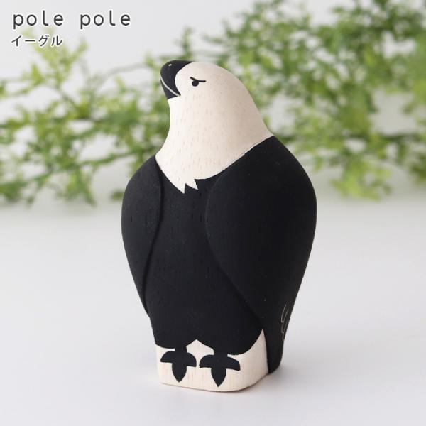 polepole ۂۂ ؐ u@ۂۂꓮ@C[O