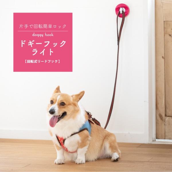 ][htbN hM[tbNCg Ўŉ]ȒPbNi hbOtbN [h  ^ ^  ybg  ցjyhM[tbNCgzydoggyhooklitez