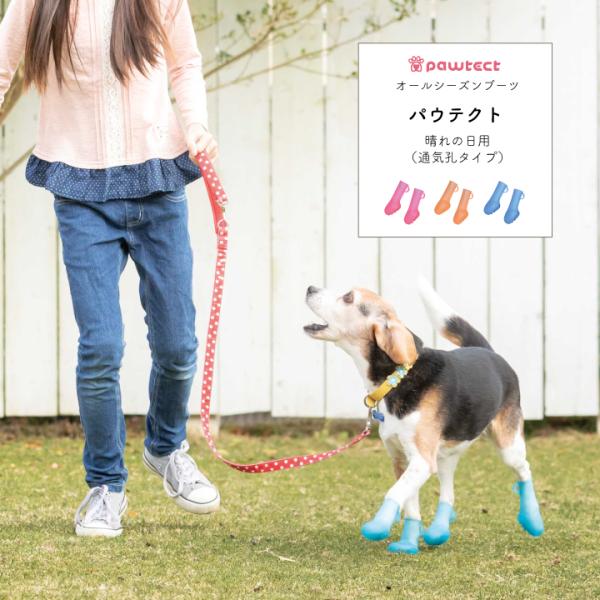 pEeNg ̓p ʋCE iSAMALj /  C C I[V[Y ybg PK  CV[Y   ی  ypEeNg ʋCE^CvzyPAW-3z