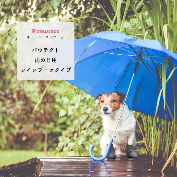 パウテクトSS（４足入り）２セット 楽天市場】犬 靴 犬用靴 履かせ やすい 脱げない [伸び〜る 犬用