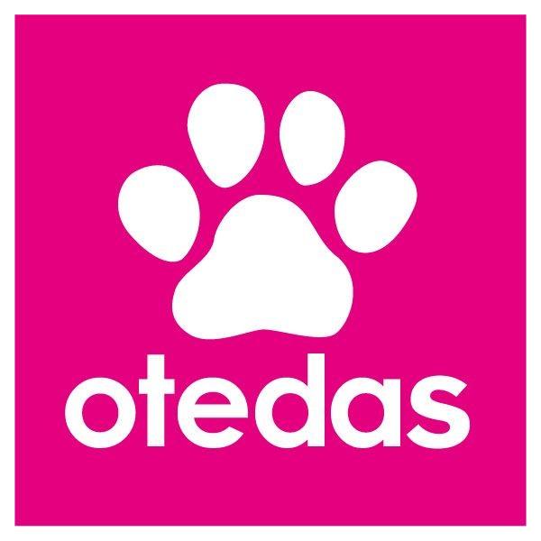 i[ցj肾 (otedas)sVc/Aj}Dȕɂ߂̂߂sVcłB󒍐ŸׁA܂ł͖1TԂقǂ܂B