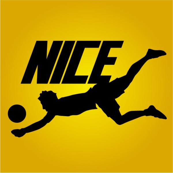 i[ցjiCXV[u(NICE) sVcio[{[ҁj@߂sVcłB܂1TԂقǂ܂B