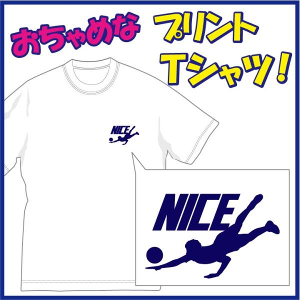 iCX(NICE) v[sVcio[{[ jqҁj@߂sVcłB܂1TԂقǂ܂B[֔(160~)