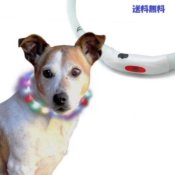 夜散歩の安心対策 犬猫用光る首輪 USB充電式 サイズカット 点灯点滅
